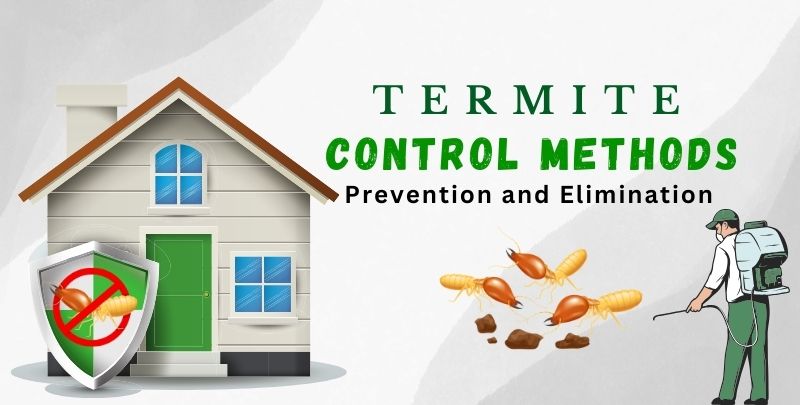 Pest Control Termite Protection Tips orange county ca