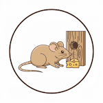 Rodent control & attic cleanup